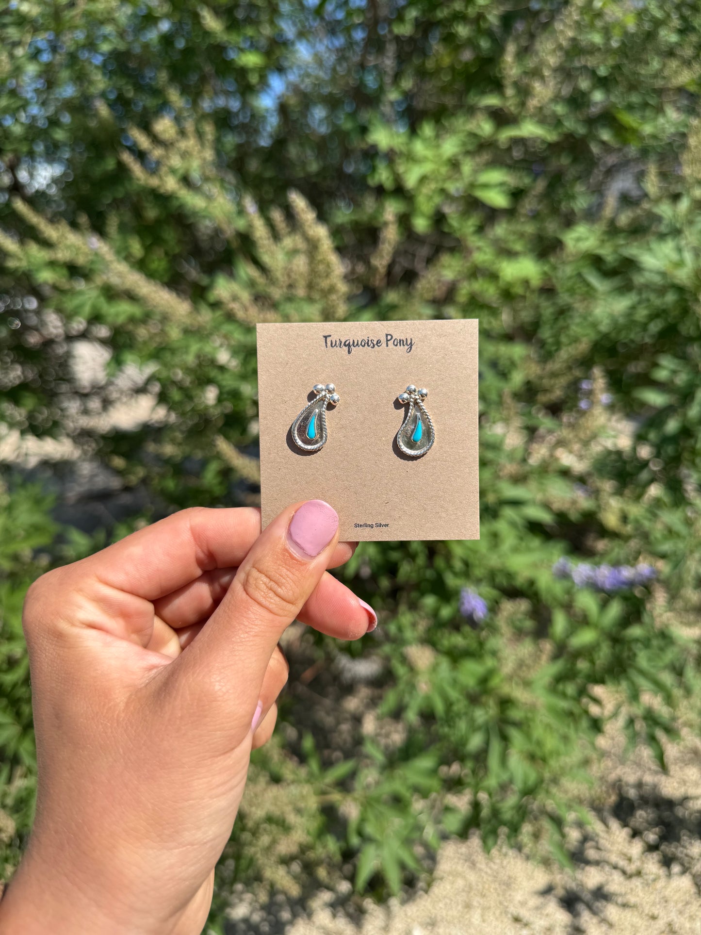 Ted Studs