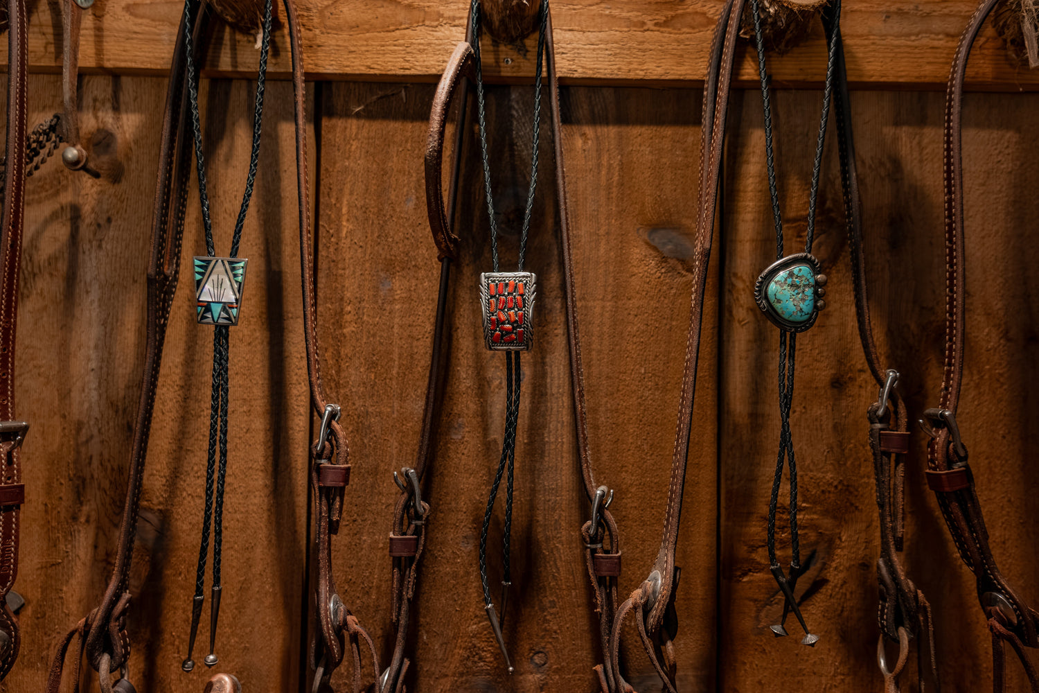Bolo