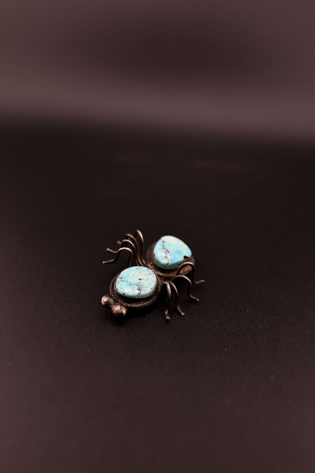 Vintage Turquoise Bug