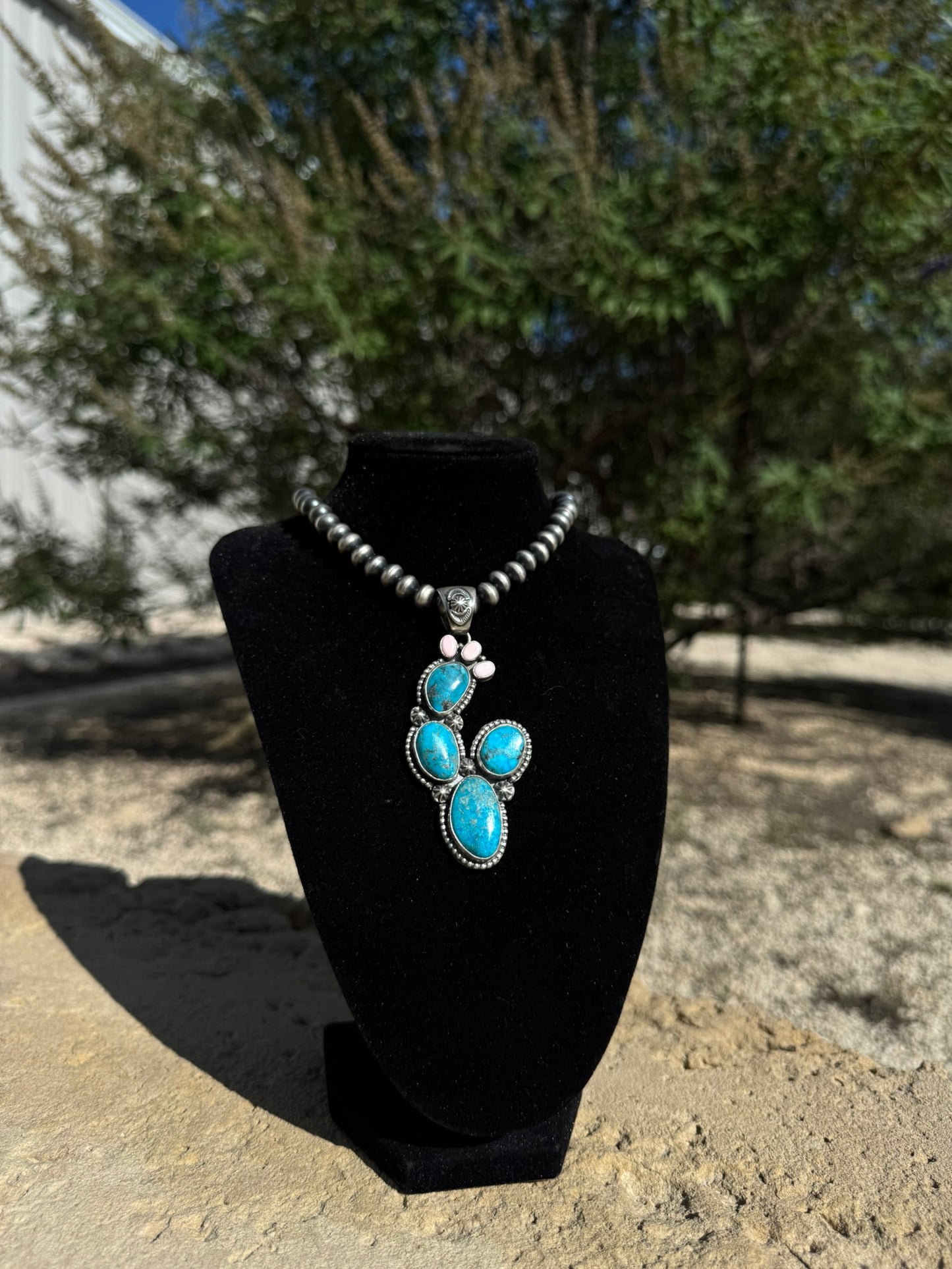 Turquoise and Pink Conch Cactus
